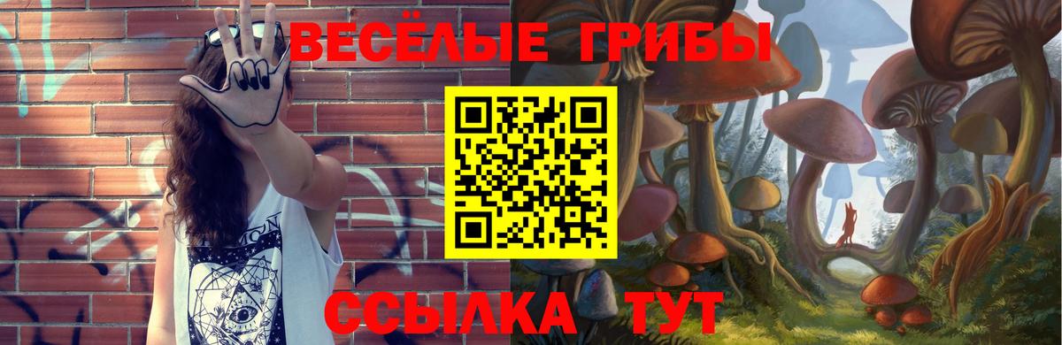 Острогожск  Галлюциногенные грибы ЛСД  Вход с VPN 